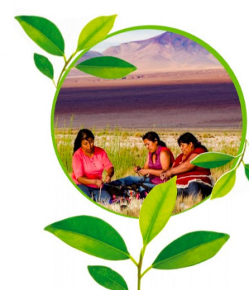 Logo sustentabilidad
