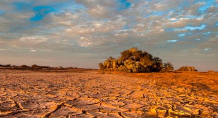 Imagen del desierto