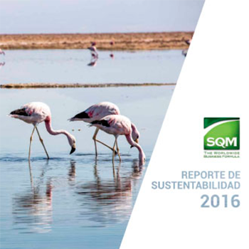 Reporte de Sustentabilidad 2016