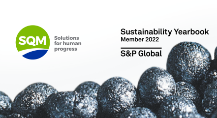 Mitglied des Sustainability Yearbook 2022 S&P Global